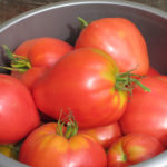 Varietà di pomodoro Mazzarino